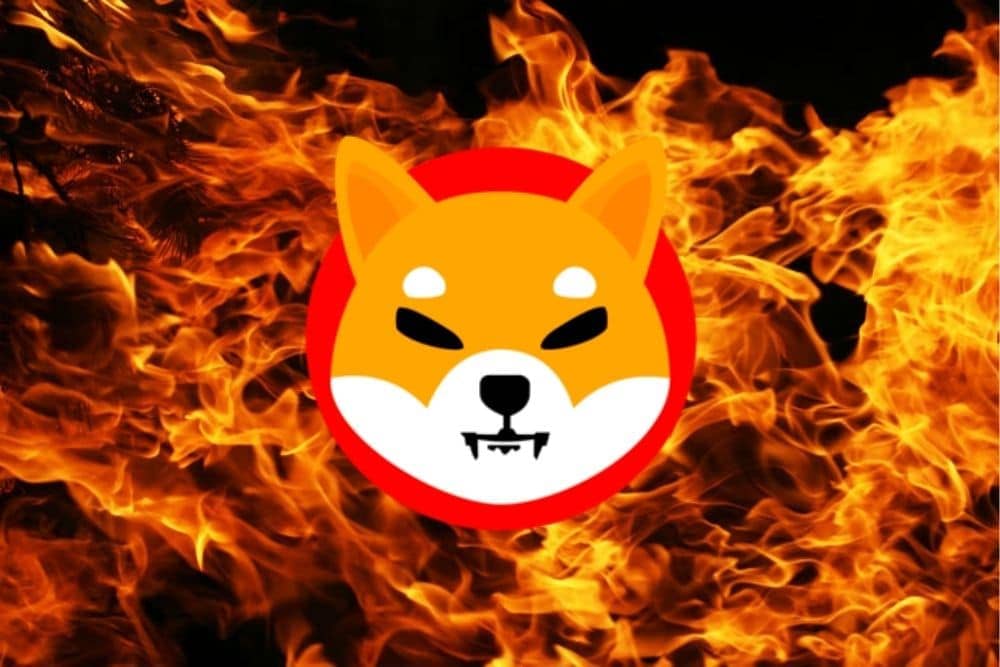 25 billion SHIBA Inu burnt out of the circulating supply within a Week