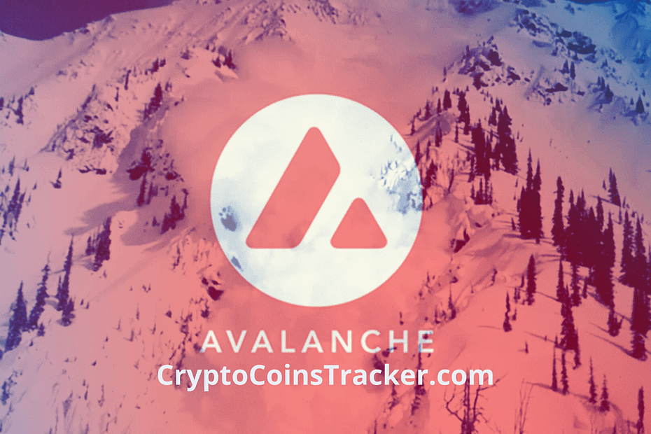 Avalanche [AVAX] falling out of the top 10 crypto list
